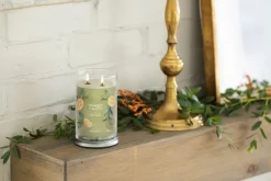 YANKEE CANDLE - TUMBLER GRANDE 2 STOPPINI SAGE AND CITRUS: vendita online YANKEE CANDLE - TUMBLER GRANDE 2 STOPPINI SAGE AND CITRUS in offerta