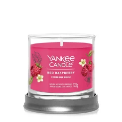 YANKEE CANDLE - TUMBLER PICCOLO RED RASPBERRY: vendita online YANKEE CANDLE - TUMBLER PICCOLO RED RASPBERRY in offerta