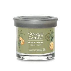 YANKEE CANDLE - TUMBLER PICCOLO SAGE AND CITRUS: vendita online YANKEE CANDLE - TUMBLER PICCOLO SAGE AND CITRUS in offerta