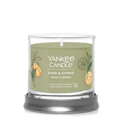 YANKEE CANDLE - TUMBLER PICCOLO SAGE AND CITRUS: vendita online YANKEE CANDLE - TUMBLER PICCOLO SAGE AND CITRUS in offerta