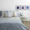 ZUCCHI - COMPLETO LETTO SINGOLO IN COTONE SPLASH : vendita online ZUCCHI - COMPLETO LETTO SINGOLO IN COTONE SPLASH in offerta